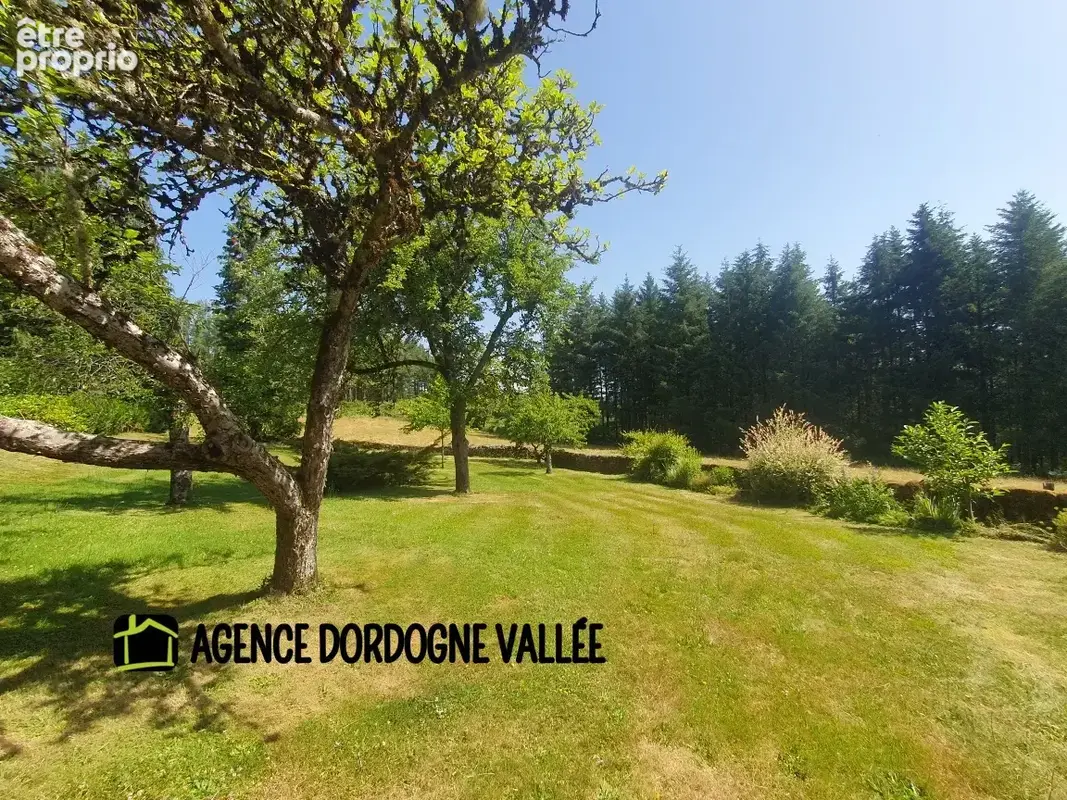 Propriété d'exception en xaintrie, 2,2 ha bois et prés attenants, dépendance ,trés bon état . - photo 23