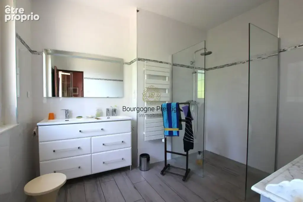 Bourgogne du sud- belle maison familiale 204 m²  -terrain de 8257 m² -sous-sol - acces privatif a la loire - photo 12