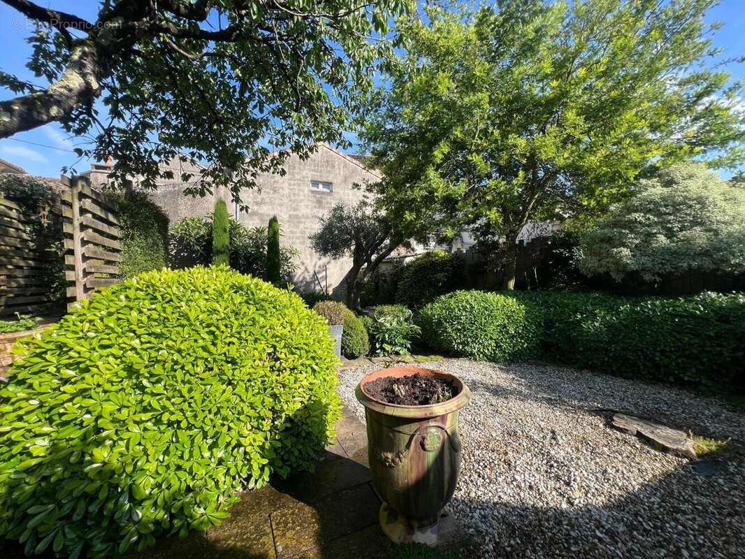 Photo 4 - Maison à TONNEINS