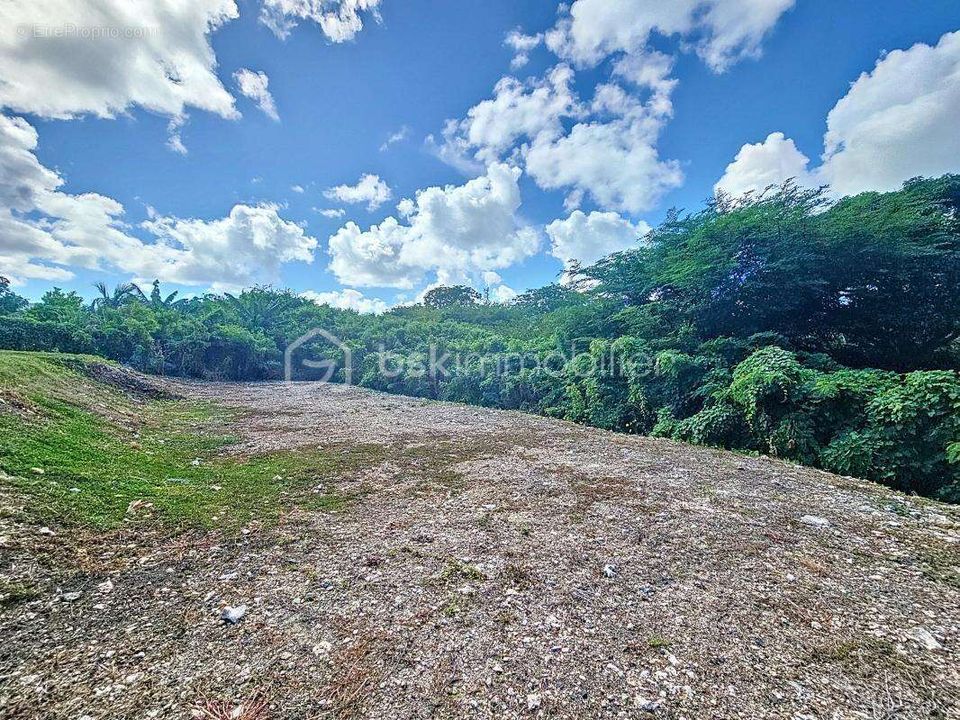 Maison à SAINT-FRANCOIS