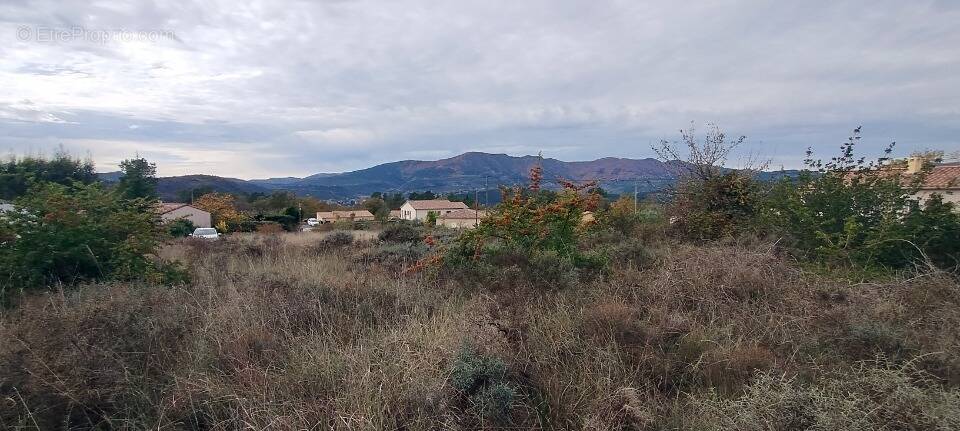 Terrain à LES ASSIONS