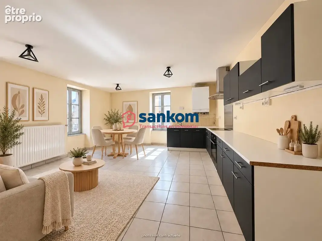 Appartement 185 m² à vendre à Saint-Paulien (43350) - photo 3