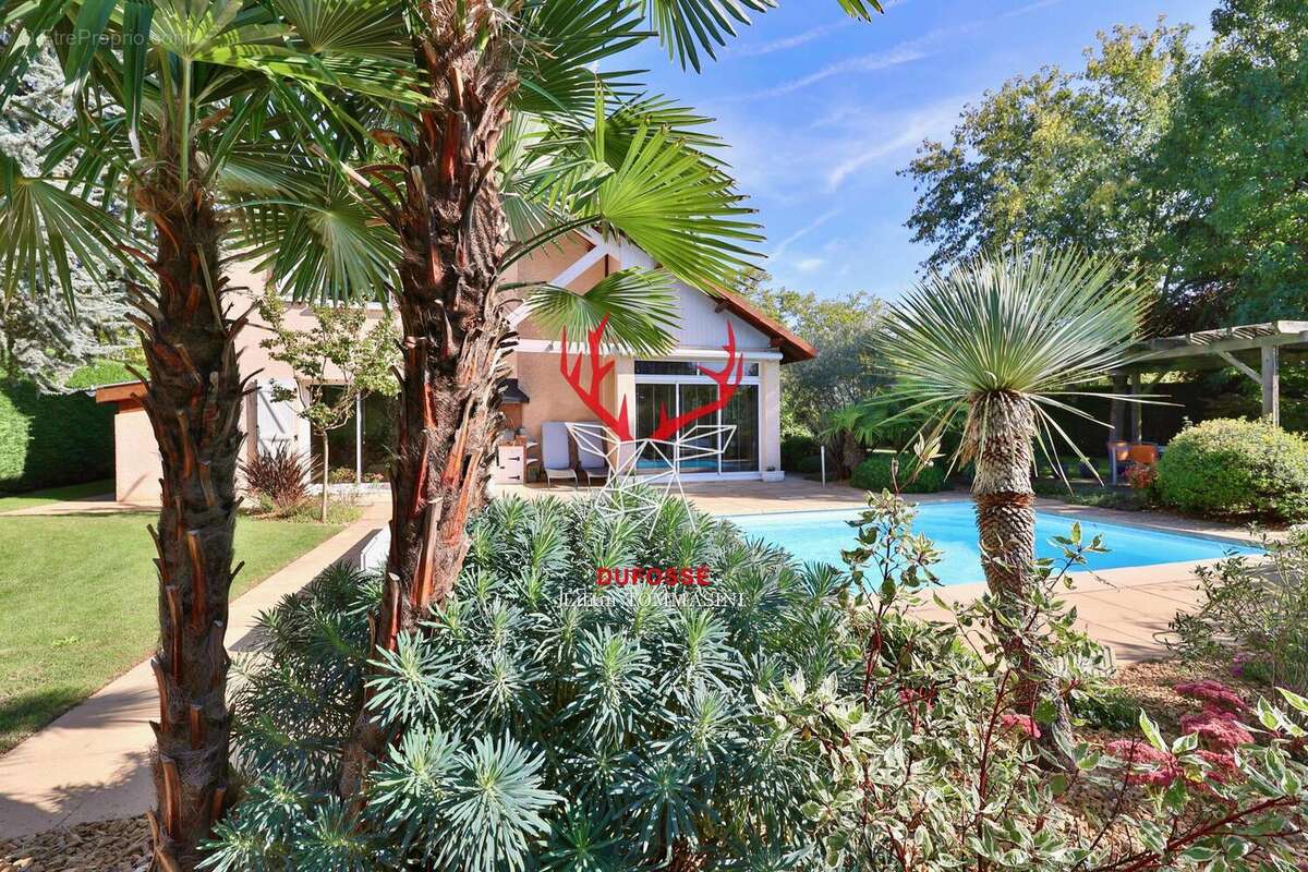 Photo 1 - Maison à LA TOUR-DE-SALVAGNY