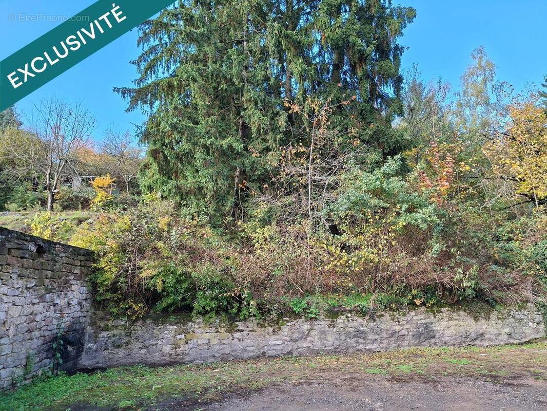 Photo 1 - Terrain à PETITE-ROSSELLE