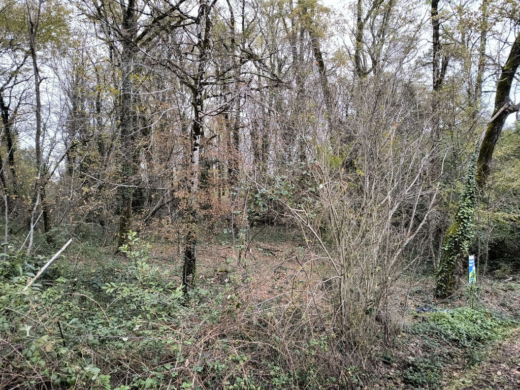 Terrain à BRIVE-LA-GAILLARDE