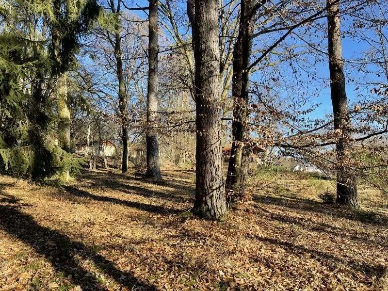 Terrain à NIEDERBRONN-LES-BAINS