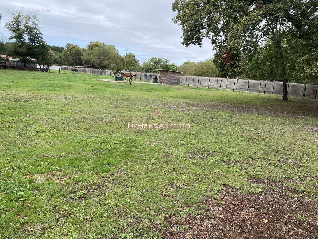 Terrain à LA TESTE-DE-BUCH