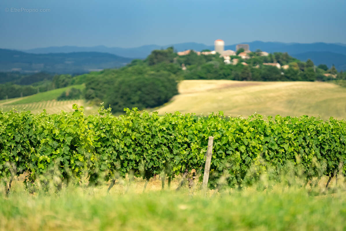 Maison à BELVEZE-DU-RAZES