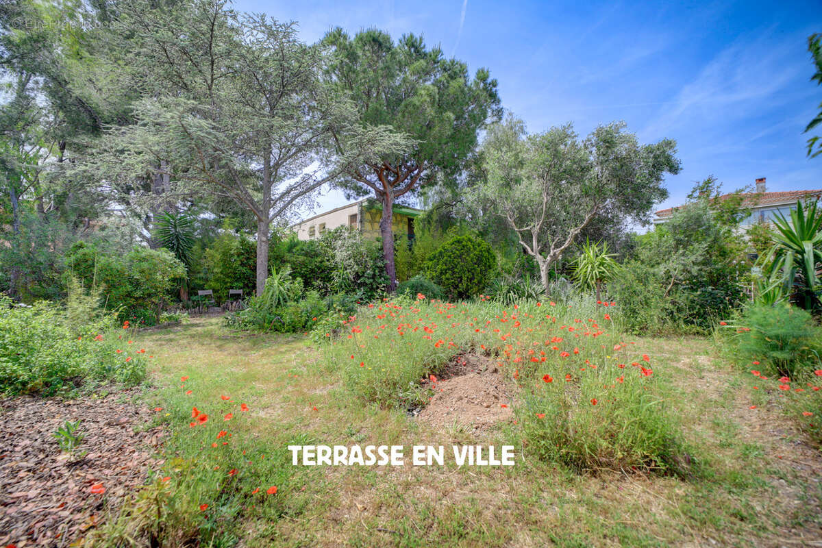 Terrain à LA CIOTAT