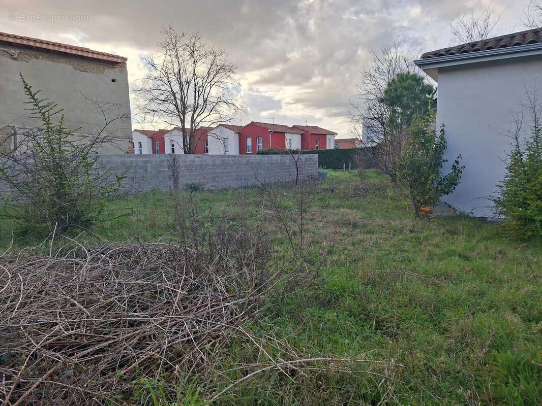 Photo 3 - Terrain à TOULOUSE