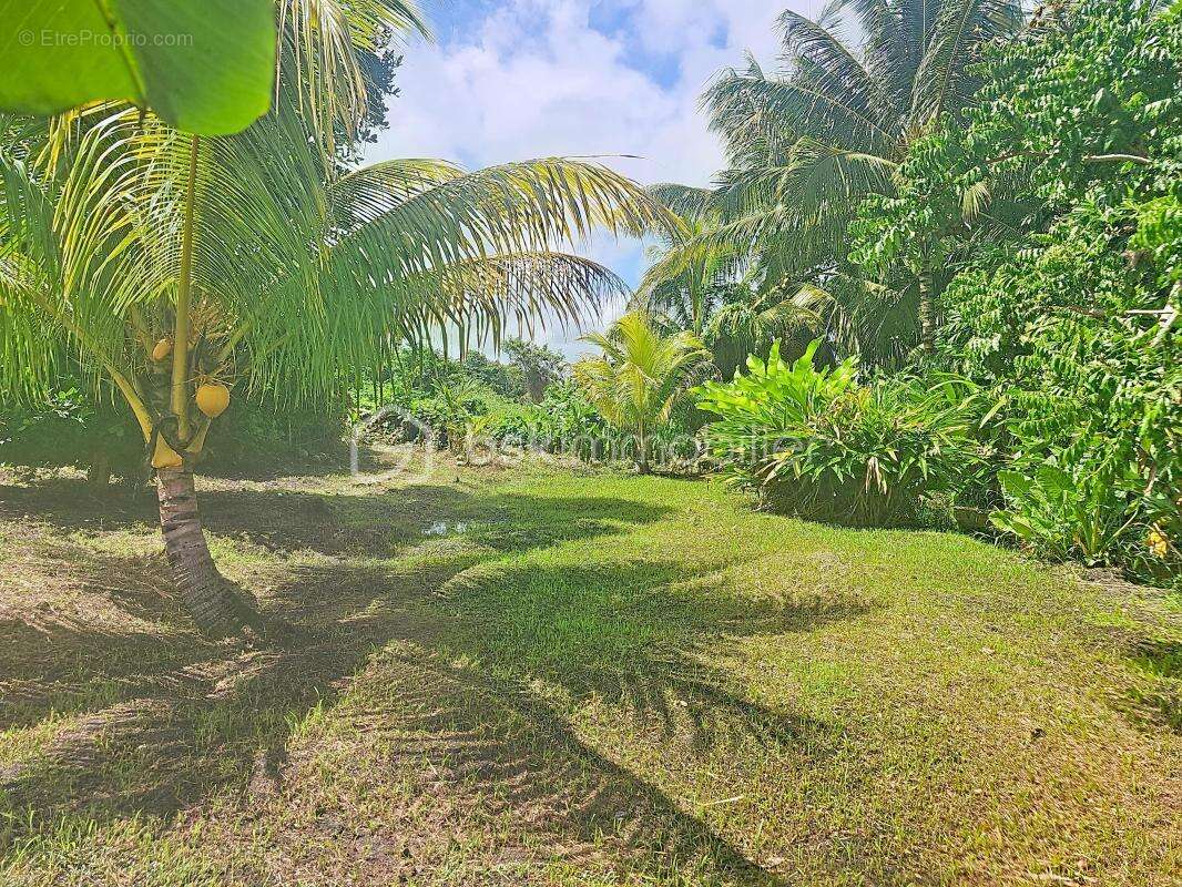Maison à SAINTE-ANNE