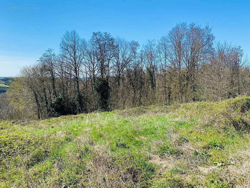 Vue dominante pour ce beau terrain sur la commune de Planioles - photo 5
