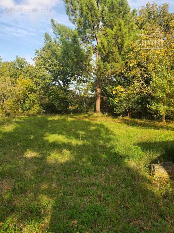 Terrain à CASTELRENG