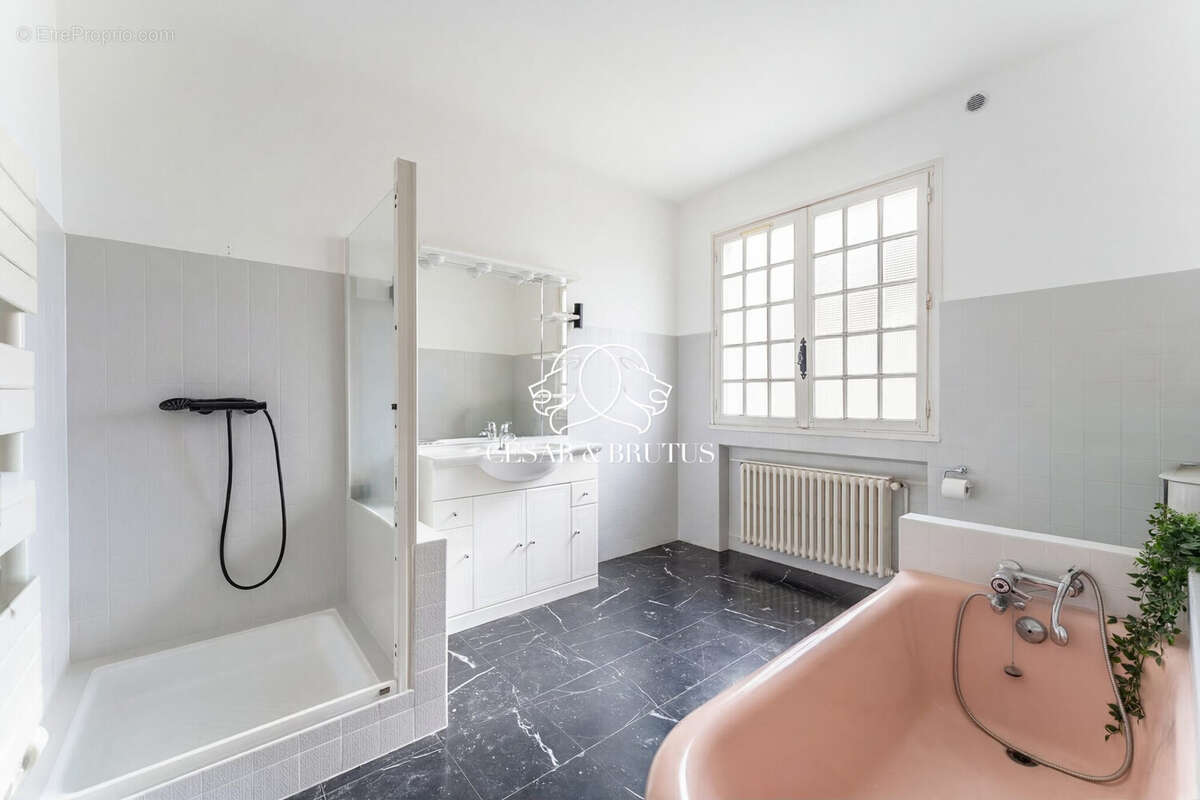 Maison 350 m² à Saint-Laurent-De-Mure  - photo 8