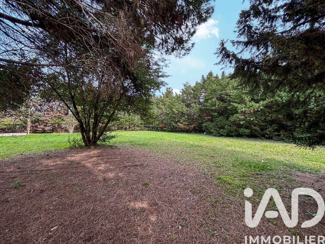 Photo 5 - Terrain à CARCASSONNE