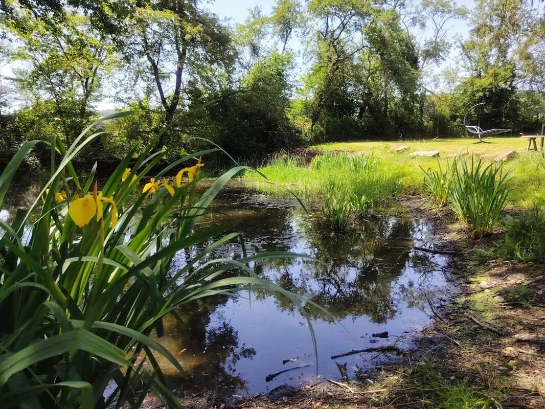 À vendre longère terrain 1,8 ha St-Malo-en-Donziois - photo 27
