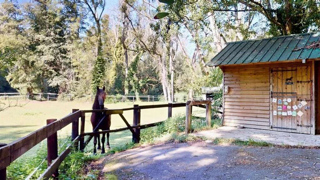 Propriete equestre de 9 hectares aux portes de paris - photo 2