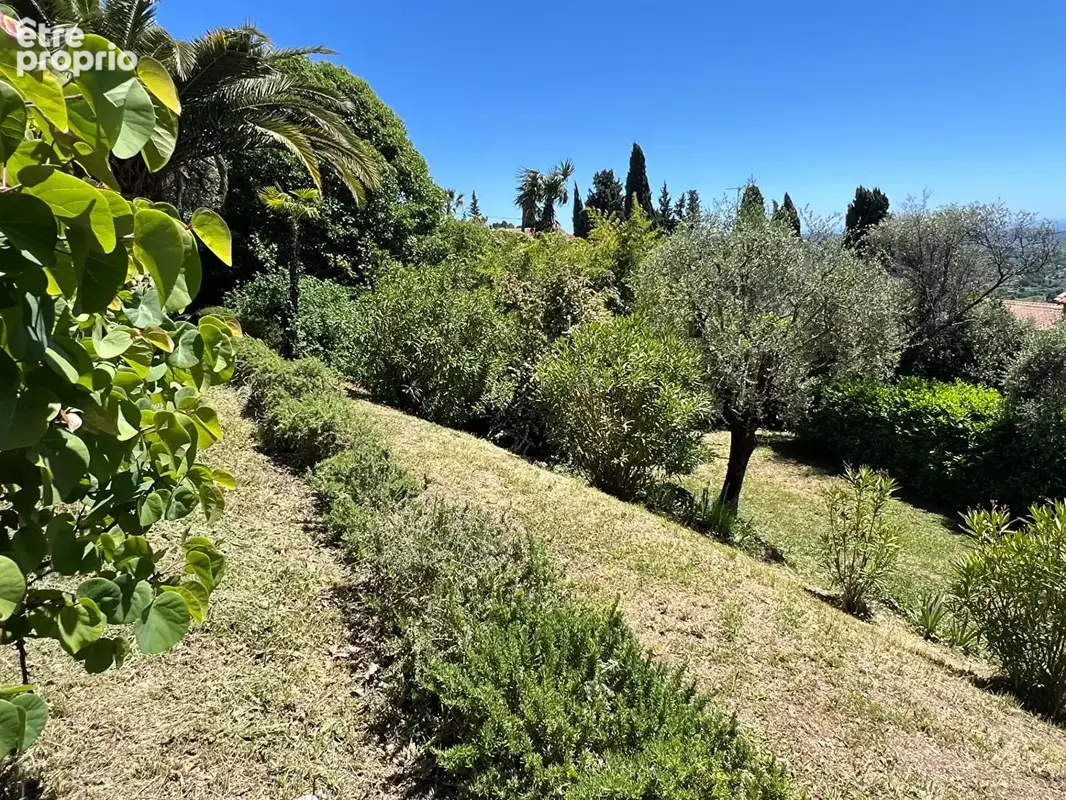 Magagnosc : Maison familiale avec vue mer exceptionnelle - photo 17