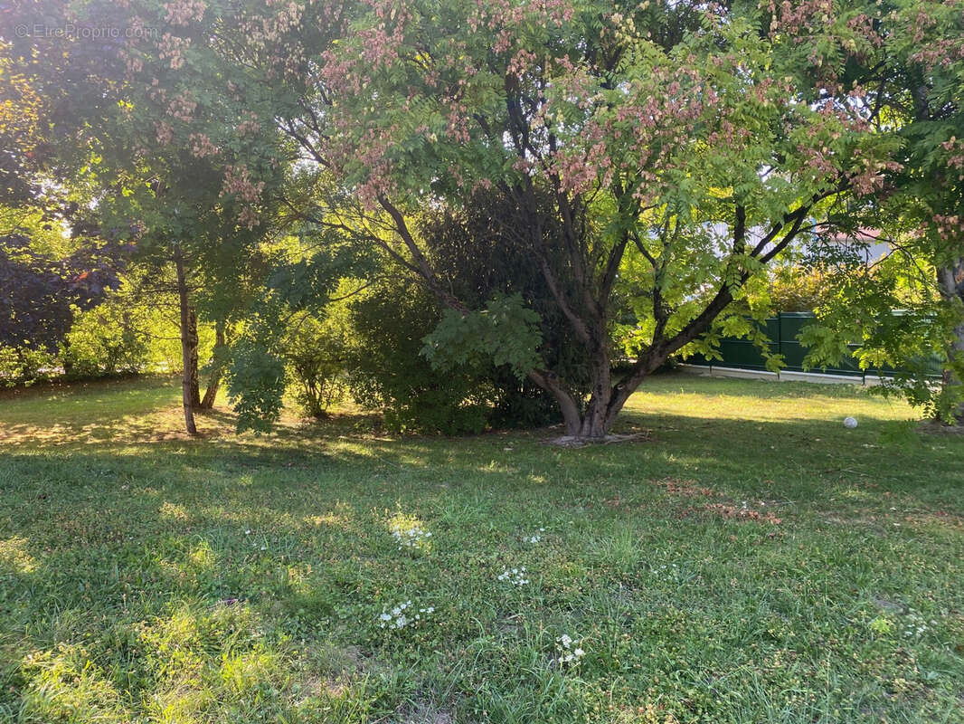 Maison à VITRY-LE-FRANCOIS