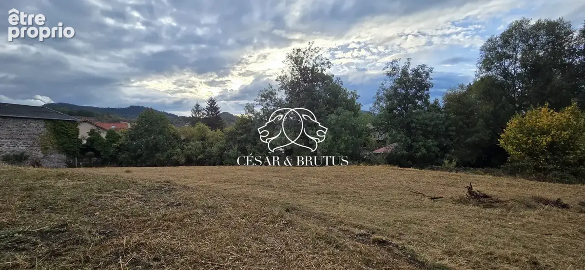 Terrain 1 958 m² à vendre à Rosieres (43800) - photo 5