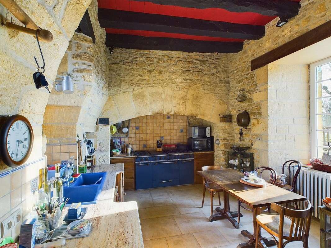 Beau manoir historique au coeur du Perigord Noir - photo 4