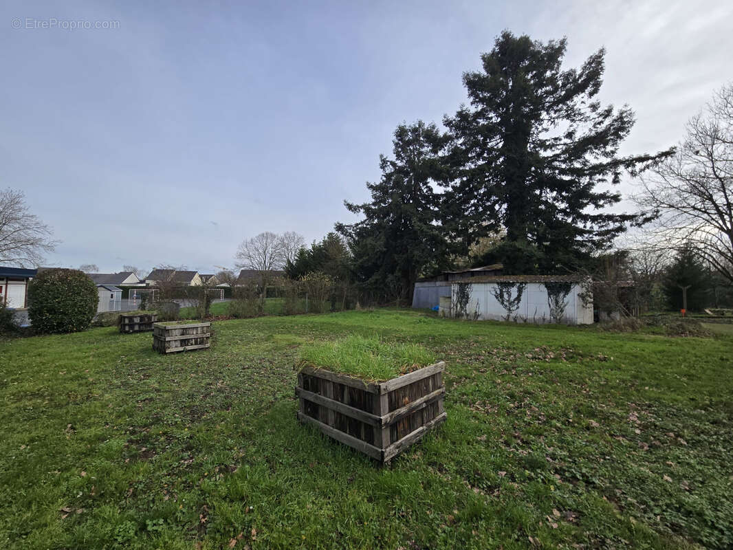 Terrain à SAINT-GEREON