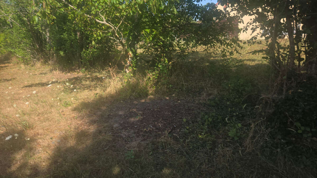 Terrain constructible  Fay Aux Loges 1806 m2 - photo 2