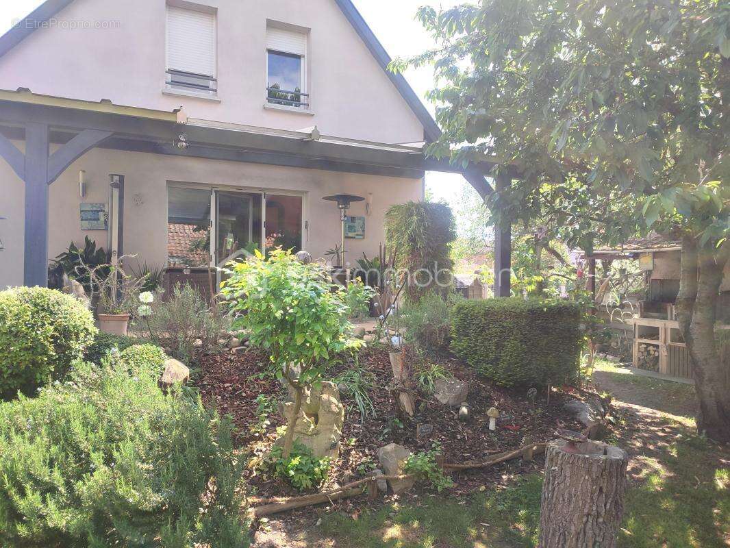 Maison à ROGGENHOUSE