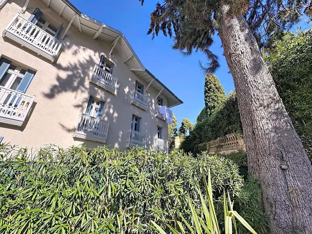 Cannes  basse californie  appart 2p terrasses - parking - photo 5