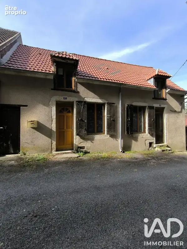Photo 1 - Maison à CHATEAUNEUF-SUR-CHER