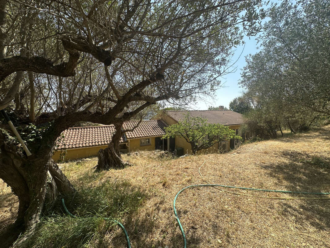 Charme garanti - plain pied 120 m2 bon etat - grand terrain sollies ville colline - piscine hors sol - photo 5