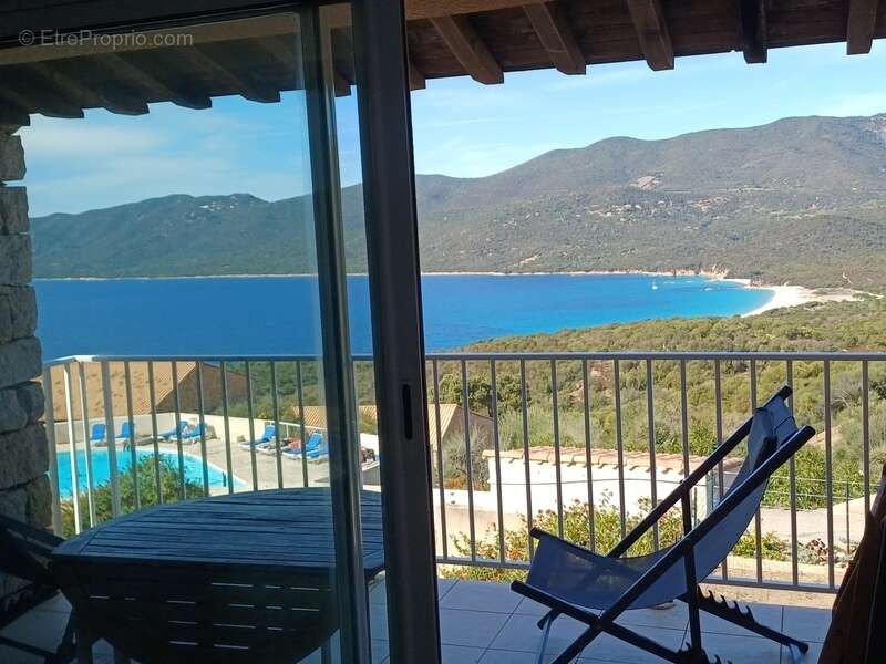 Exclusivité : superbe T2 vue panoramique mer et montagne en corse-du-Sud à SERRA DI FERRO (20) - photo 4
