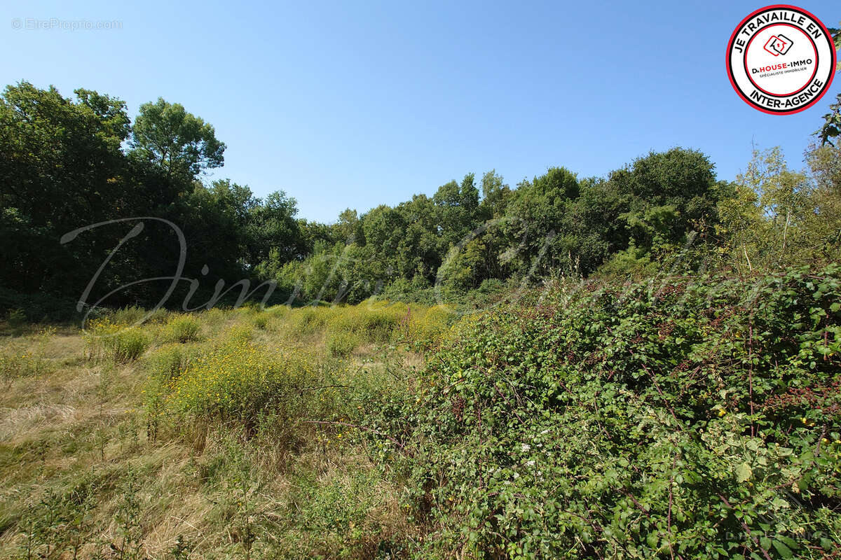 Terrain à SAINT-VIVIEN-DE-MEDOC