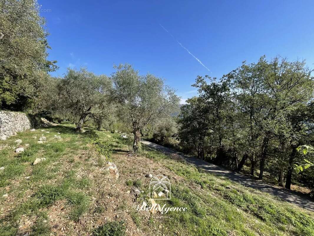 Chateauneuf Villevieille - Terrain constructible 1950m² "André" - photo 3