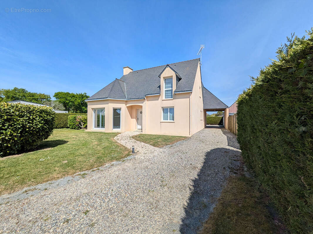 Maison 135 m² à Marzan  - photo 10