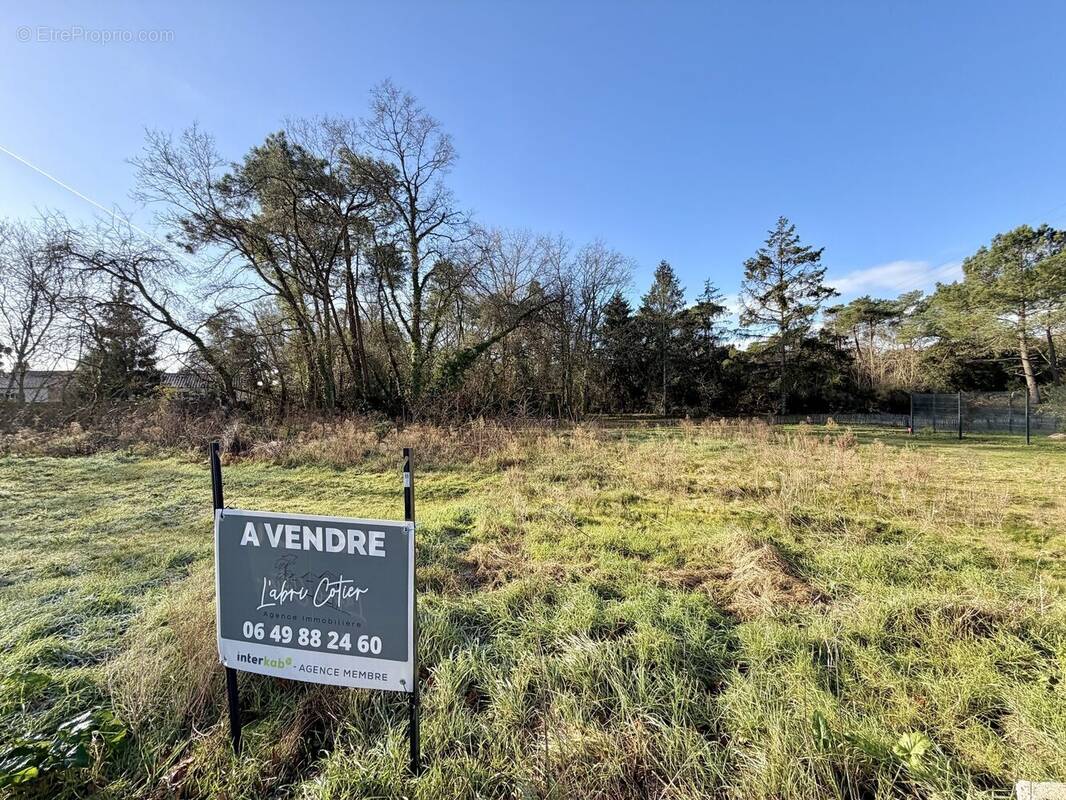 Vue de face - Terrain à SAINT-HILAIRE-DE-RIEZ