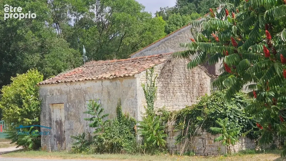 Maison Charentaise aux Portes de Saujon - photo 9