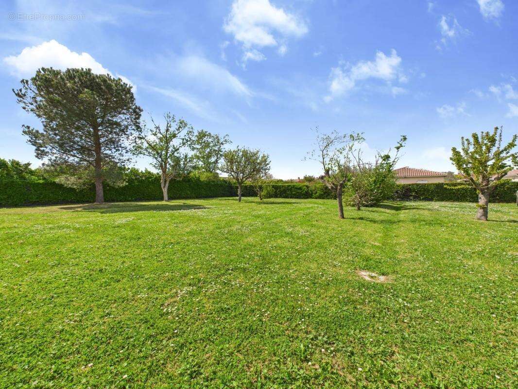 Terrain à PLAISANCE-DU-TOUCH