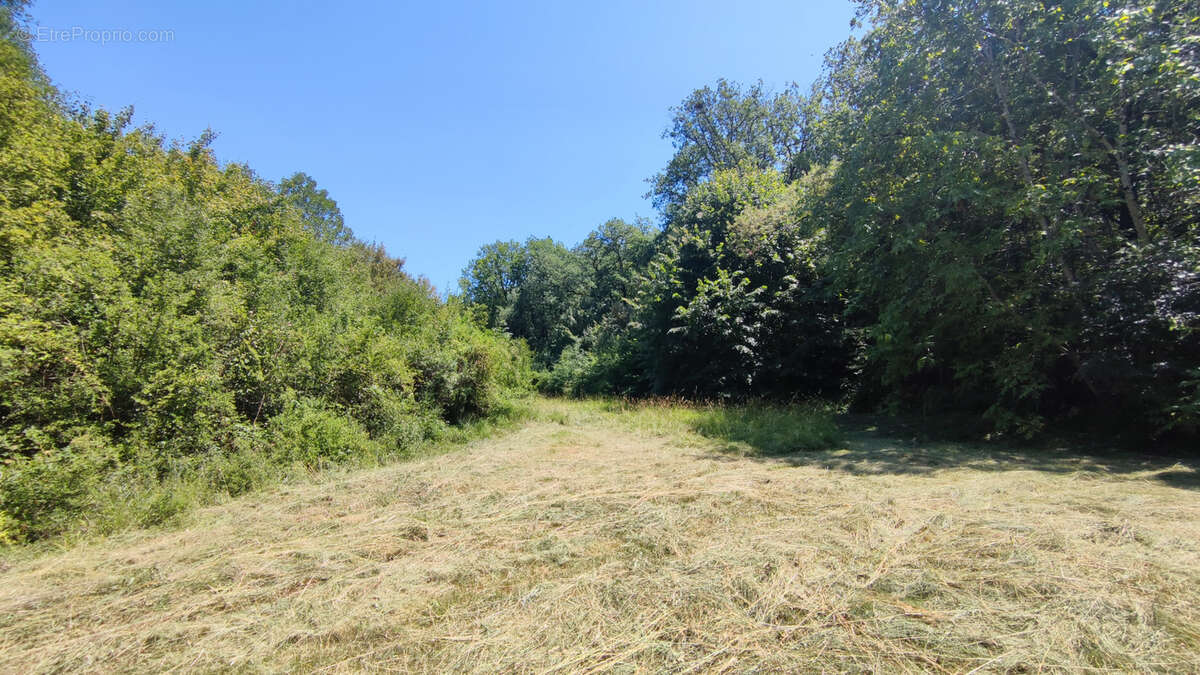 Terrain à BAGAT-EN-QUERCY