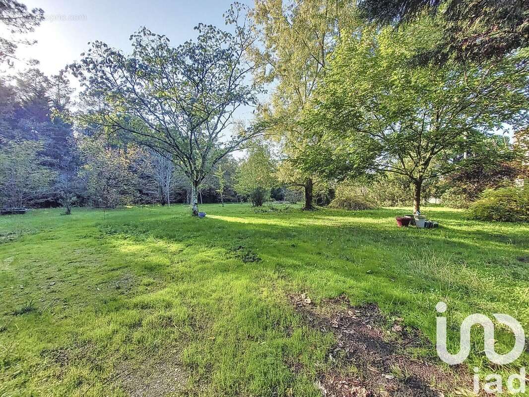 Photo 7 - Maison à SAINT-SELVE