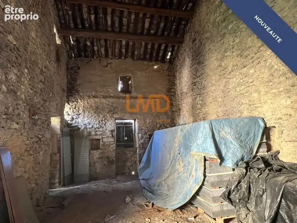 Maison fin 19ème sur un magnifique terrain arboré - photo 27