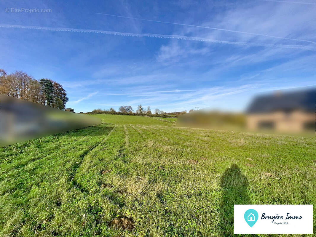 Terrain à SASSEGNIES