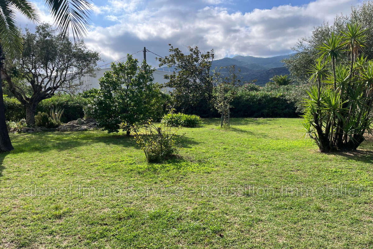 Terrain 632 m² à Ceret  - photo 5