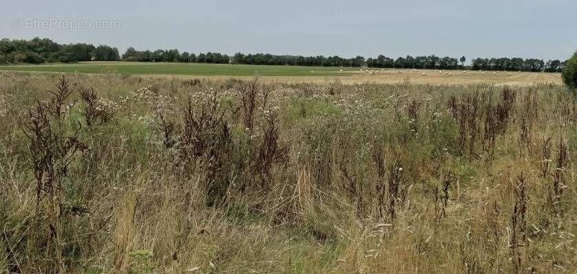Terrain à LASSON
