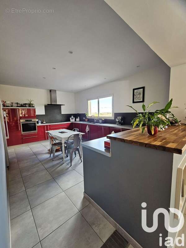 Photo 7 - Maison à SAINT-JEAN-PLA-DE-CORTS