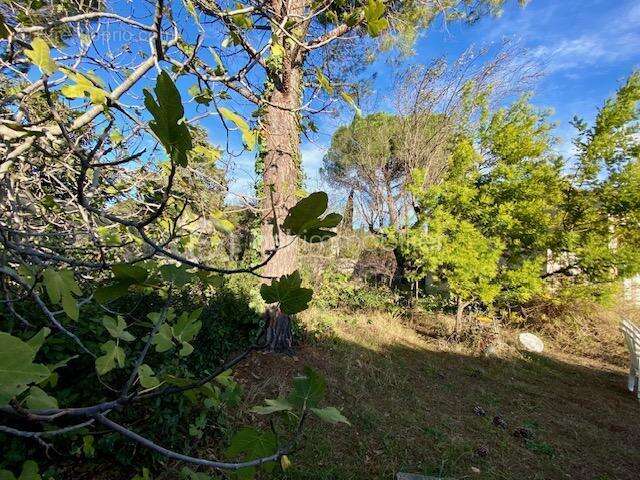 Maison à CASTELNAU-LE-LEZ
