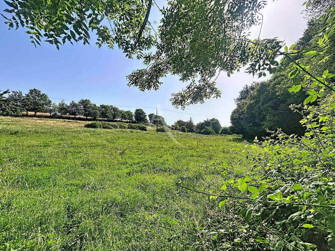 Terrain Loigne Sur Mayenne 23946 m2 - photo 13