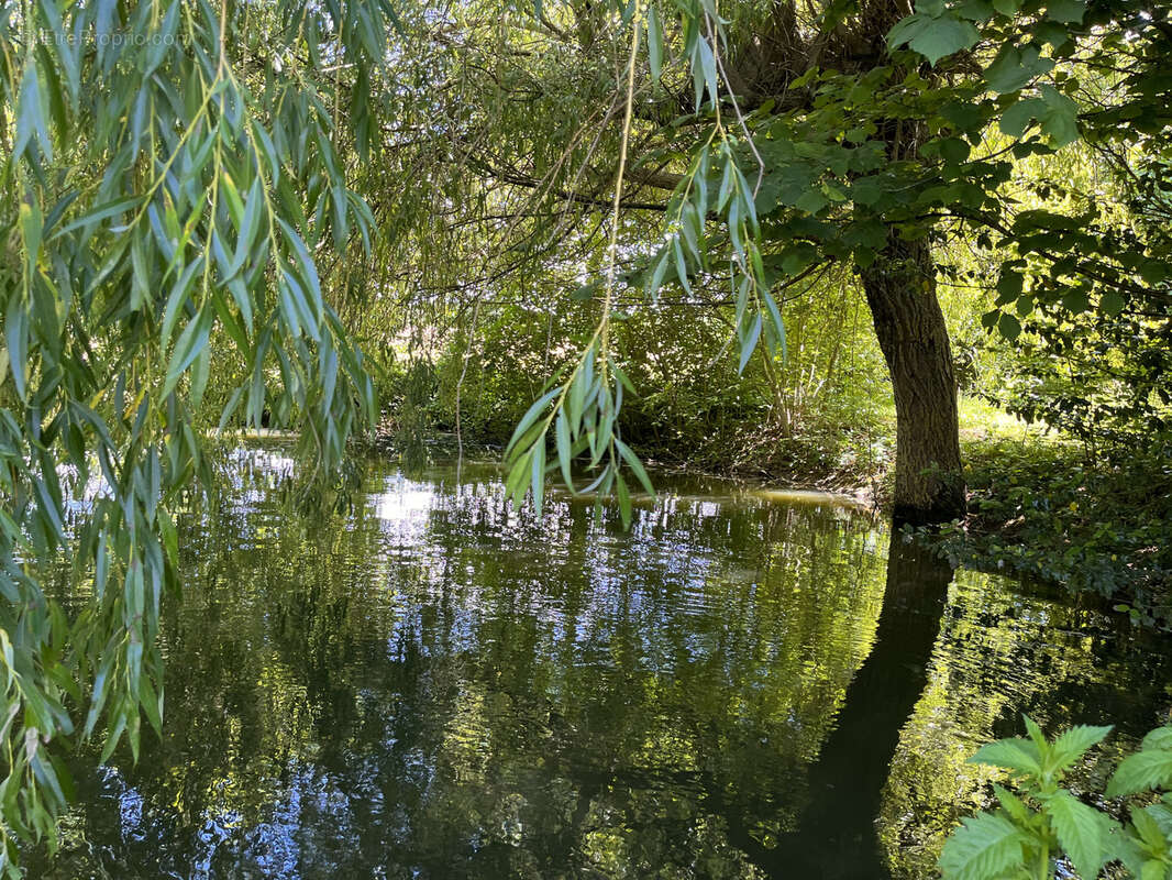 Maison à SAINT-CLAR