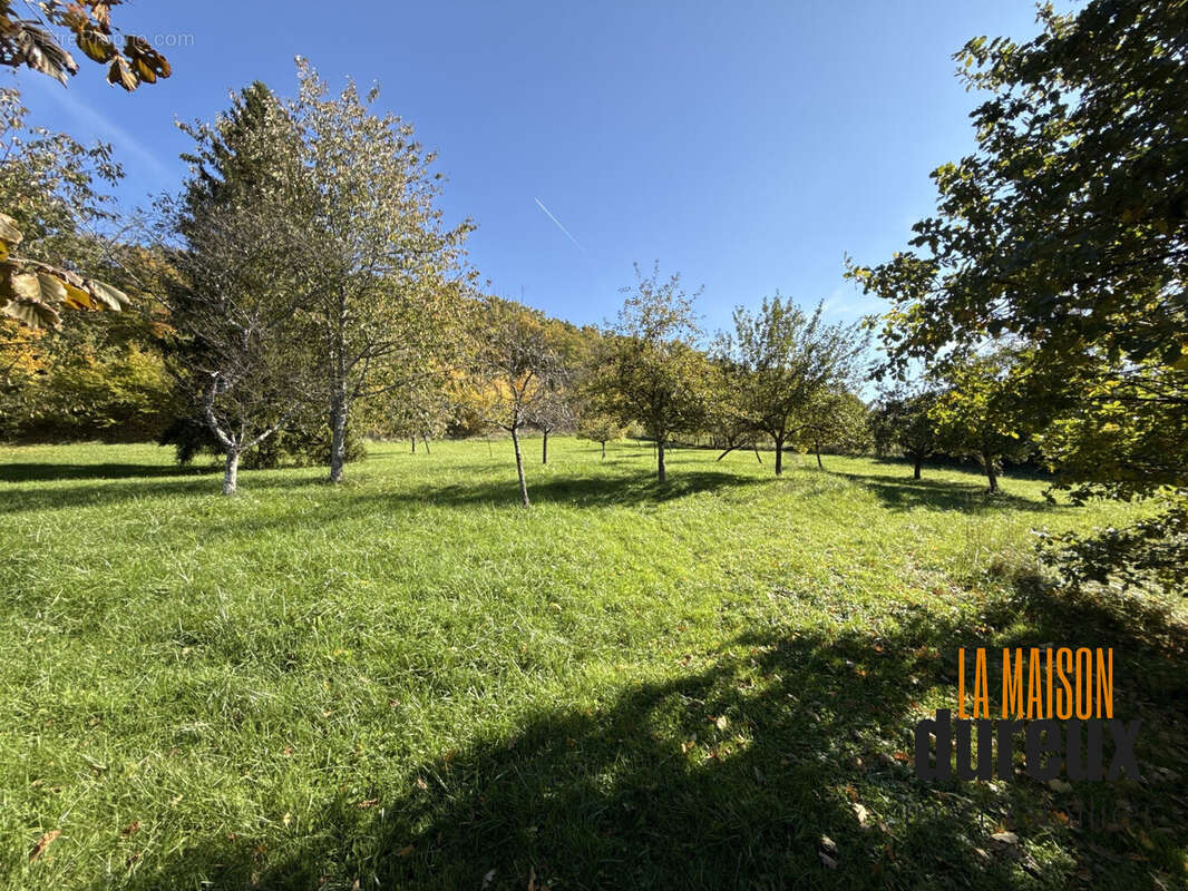 Maison à MAIZIERES-SUR-AMANCE