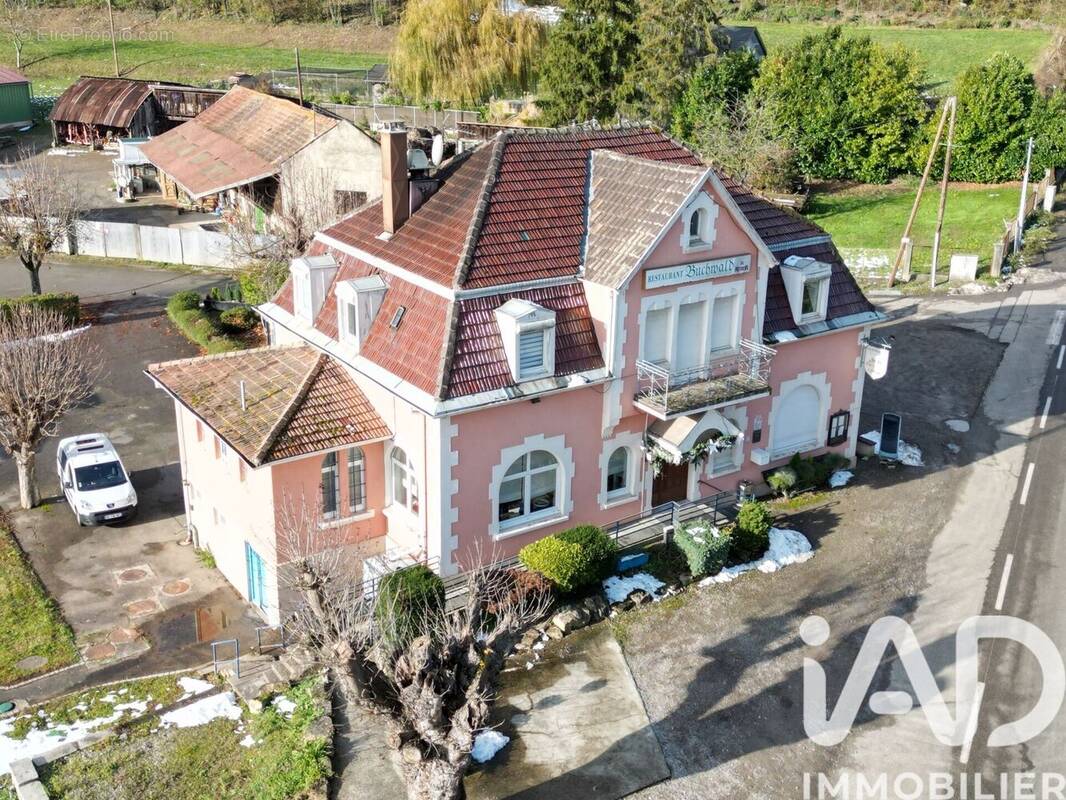 Photo 1 - Appartement à RIXHEIM